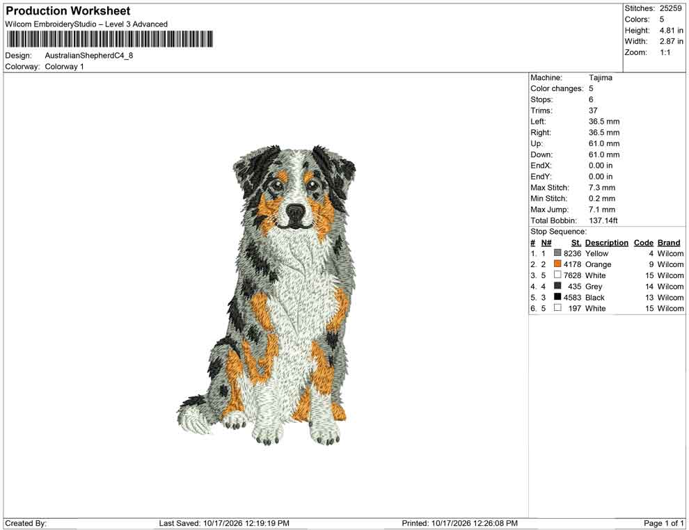 Australian Shepherd C