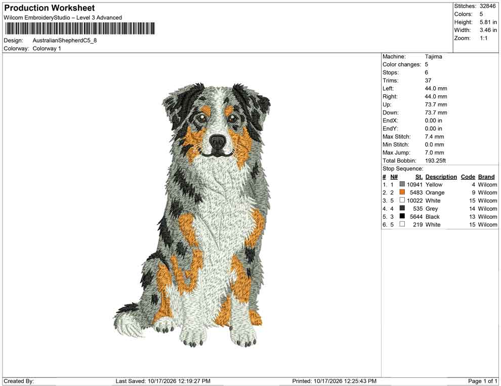Australian Shepherd C