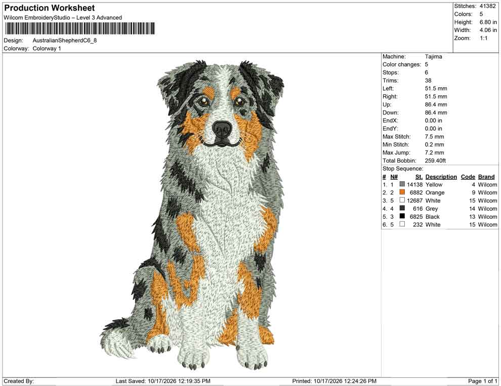 Australian Shepherd C