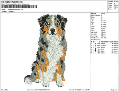 Australian Shepherd C