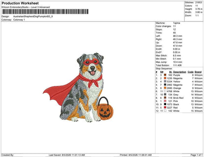 Australian Shepherd Dog Pumpkin B