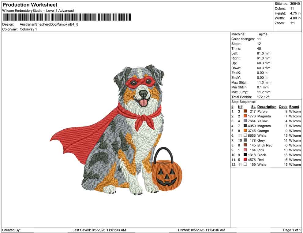 Australian Shepherd Dog Pumpkin B