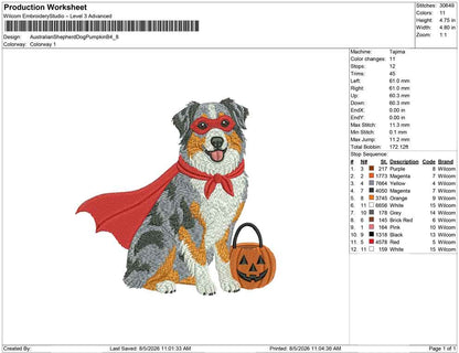 Australian Shepherd Dog Pumpkin B
