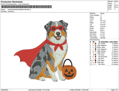 Australian Shepherd Dog Pumpkin B