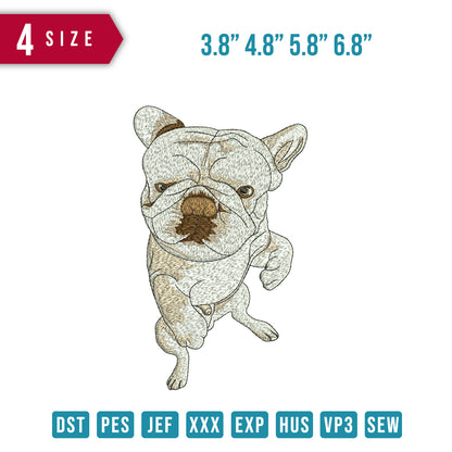 Bsby bulldog stand