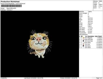 Baby Cat Brown B