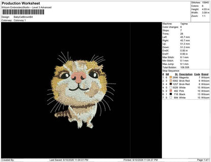 Baby Cat Brown B