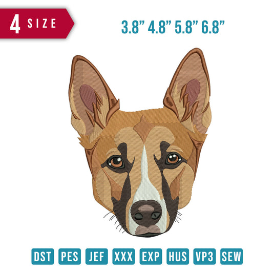 Basenji Dog