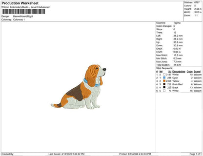 Basset Hound Dog