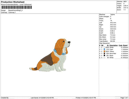 Basset Hound Dog