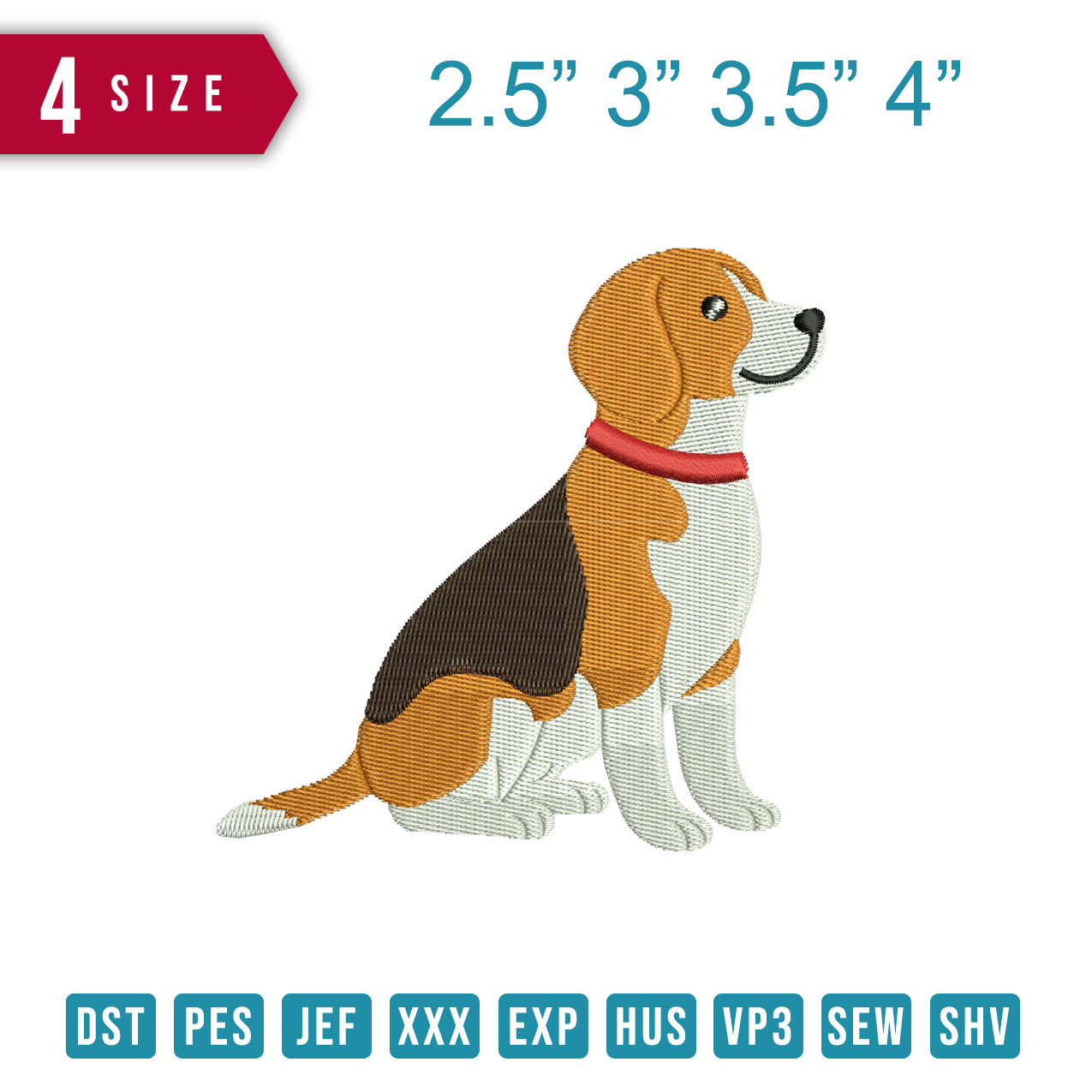 Beagle Love B