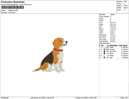 Beagle Love B