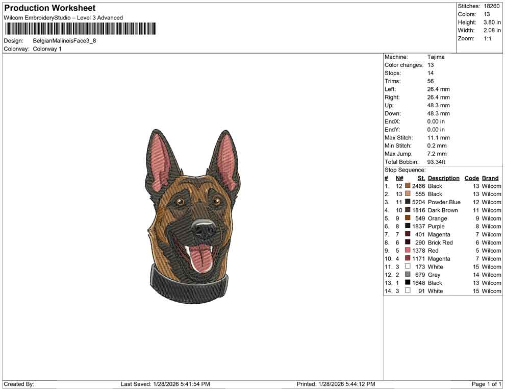 Belgian Malinois Face