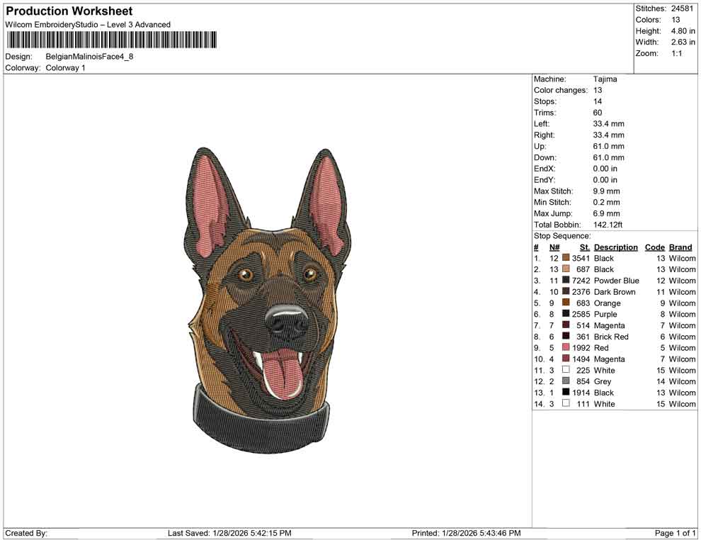 Belgian Malinois Face