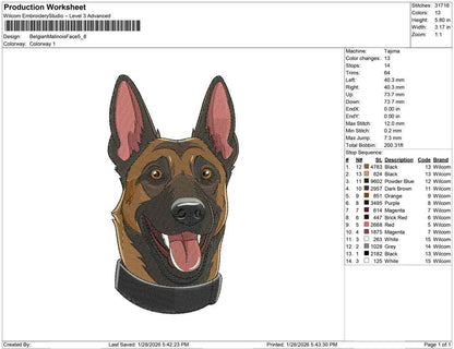 Belgian Malinois Face