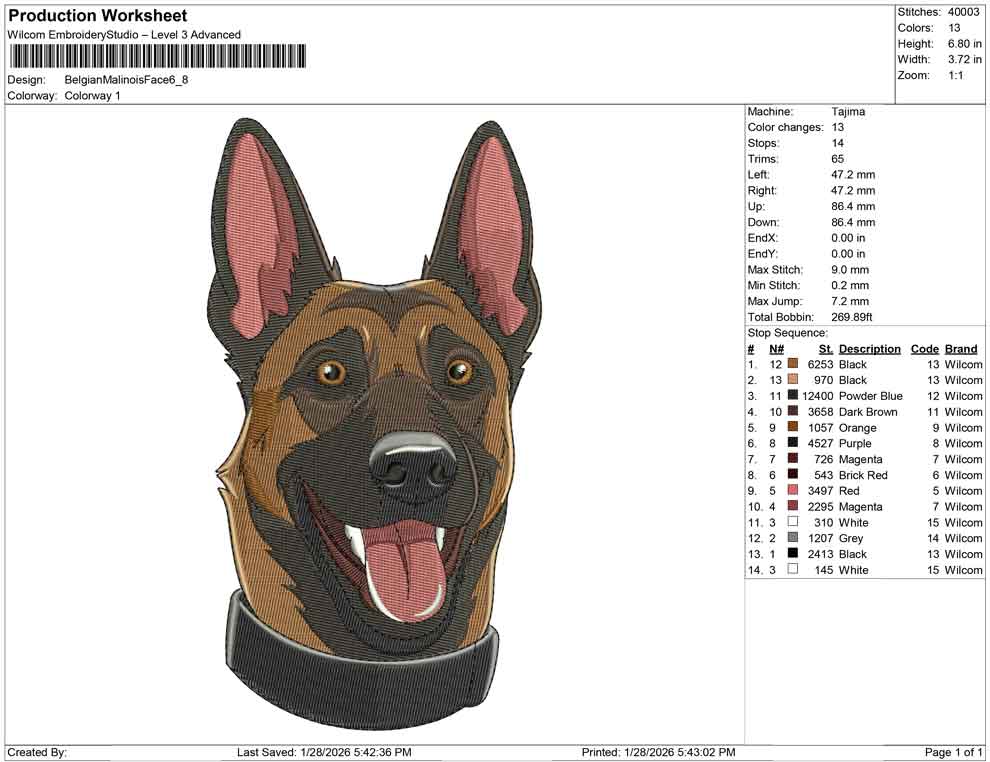 Belgian Malinois Face