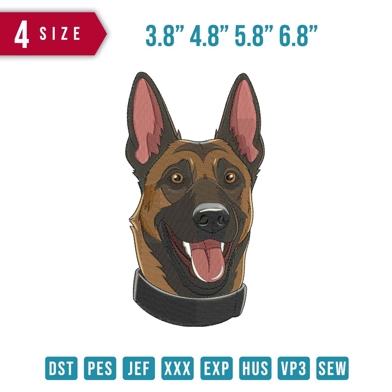 Belgian Malinois Face