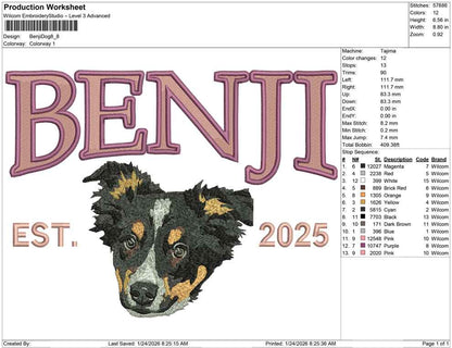 Benji Dog