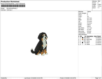Bernedoodle Dog