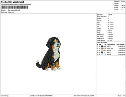 Bernedoodle Dog