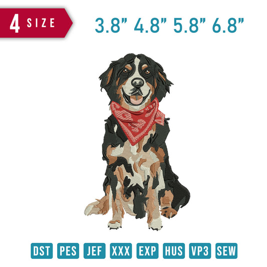 Bernese Mountain Dog