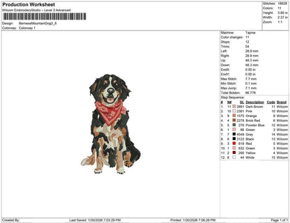 Bernese Mountain Dog