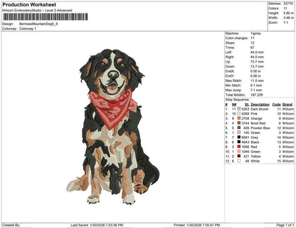 Bernese Mountain Dog