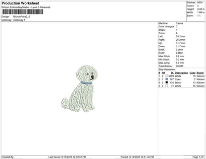 Bichon Frise