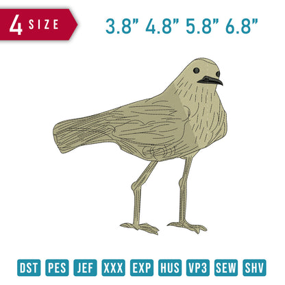 Bird D