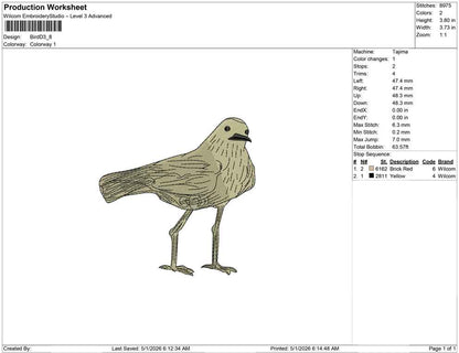 Bird D