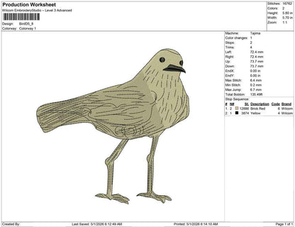 Bird D