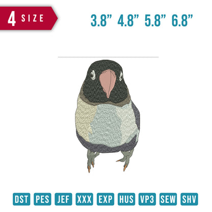 Bird Front
