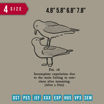 Birds Line Art