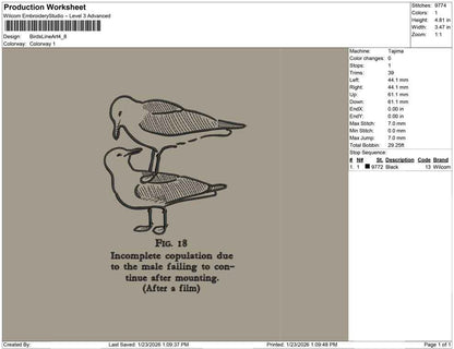 Birds Line Art