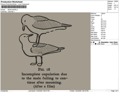 Birds Line Art