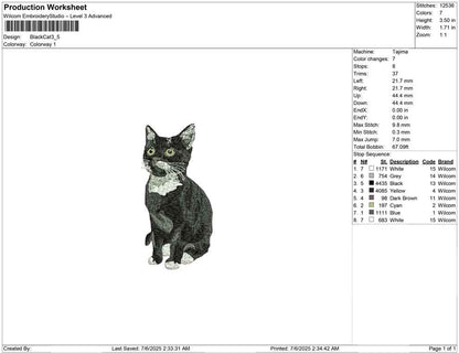 Black Cat
