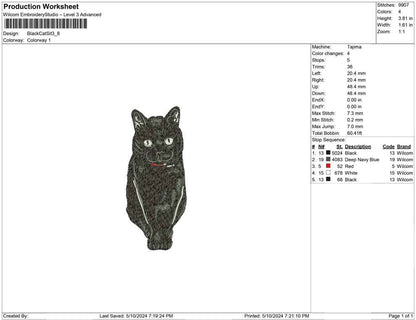 Black Cat Sit