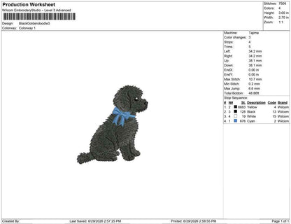 Black Goldendoodle