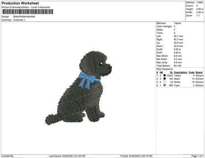 Black Goldendoodle