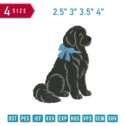 Black Newfoundland Blue Bow