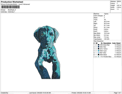 Blue Dog