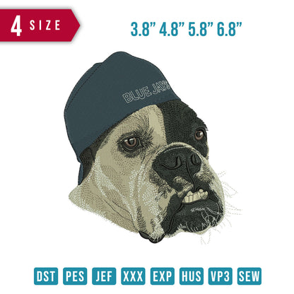 Blue Jay Dog