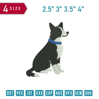 Border Collie Dog B
