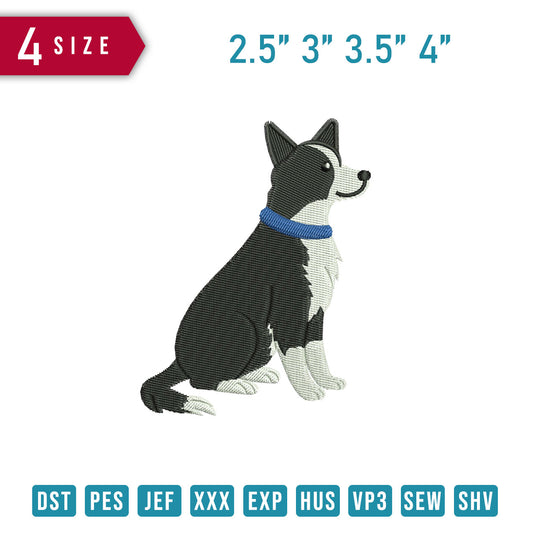 Border Collie Dog B