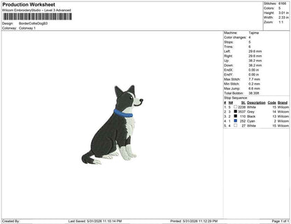 Border Collie Dog B