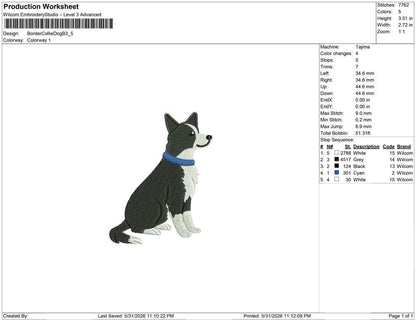 Border Collie Dog B