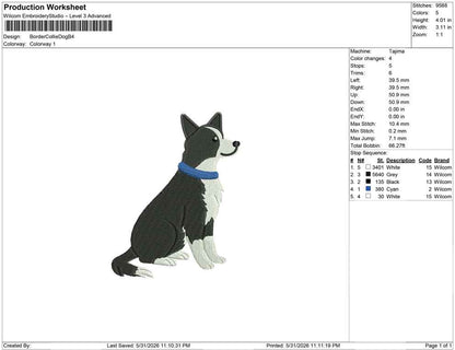 Border Collie Dog B