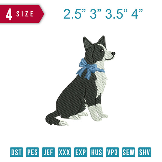Border Collie Ribon Blue