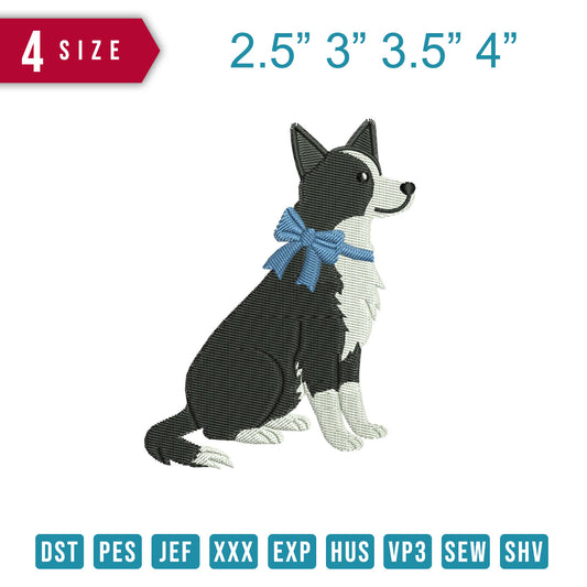 Border Collie Ribon Blue
