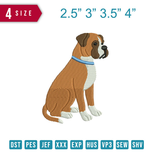 Boxer Dog B